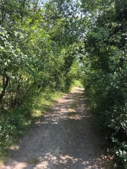 Zufahrt - Grundstück mieten in Frankfurt - Ca. 2.000 m² Top-Obstgarten mit Hütte, Schuppen + 2 Zufahrten in Frankfurt Bergen zu verpachten