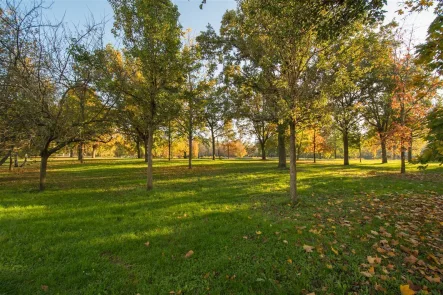 Park - Wohnung kaufen in Frankfurt am Main - Attraktive 3-Zimmer Wohnung direkt am Rebstockpark