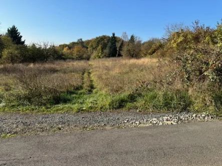 Grundstück 1 - Grundstück kaufen in Bad Vilbel - Grundbuch statt Sparbuch: Schöne Obstgarten- bzw. Ackerlandgrundstücke am Stadtrand von Bad Vilbel