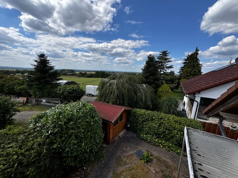 Garten mit Gartenhütte