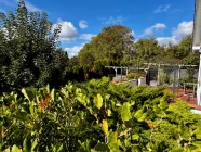 Gartenimpression | Blick auf die Terrasse