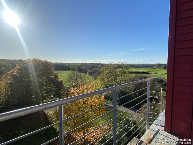 Ausblick ins Naturschutzgebiet