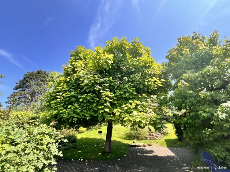 Catalpa - Haus kaufen in Karlsbad - Nicht nur 1 Traum sondern 3Traumhaus-Traumgarten-TraumscheuneWer darf sich diese Träume erfüllen?