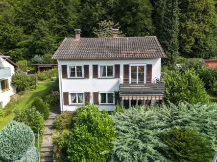 Gebäudeansicht - Haus kaufen in Ravensburg - Einfamilienhaus in idyllischer Wohnlage in Zentrumsnähe von Ravensburg