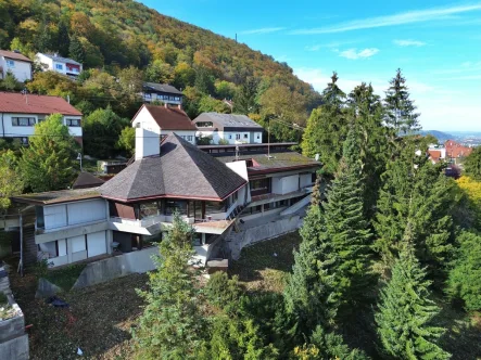 Gebäudeaußenansicht - Haus kaufen in Geislingen an der Steige - Über den Dächern von Geislingen -Imposante Architektenvilla in exponierter Halbhöhenlage