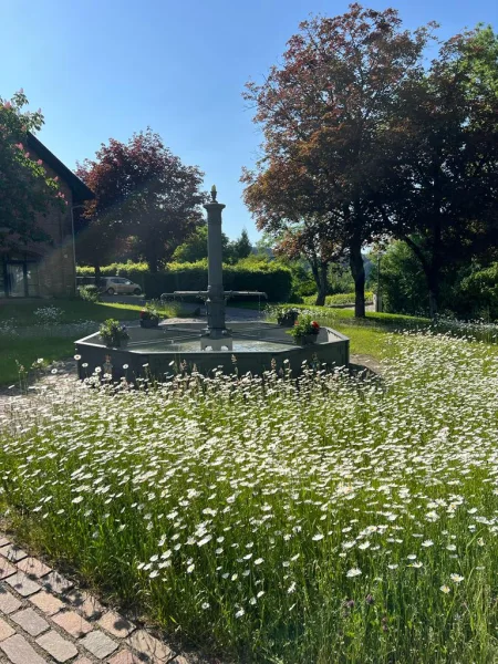 Wunderschöne Parkanlage mit Brunnen