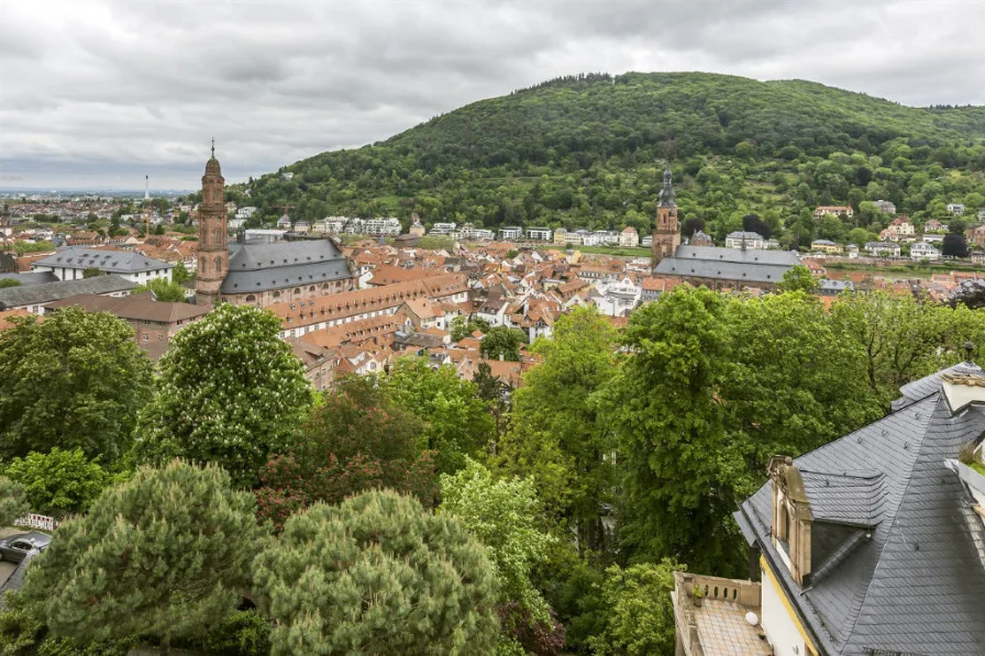 Bild1 - Wohnung kaufen in Heidelberg - Über den Dächern Heidelbergs