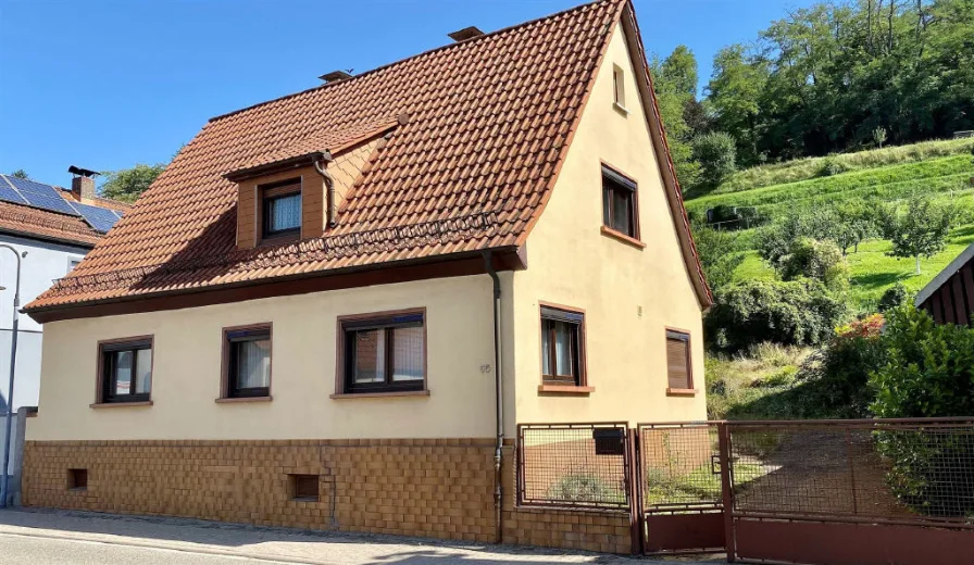 Bild1 - Haus kaufen in Laudenbach - Im Dornröschenschlaf