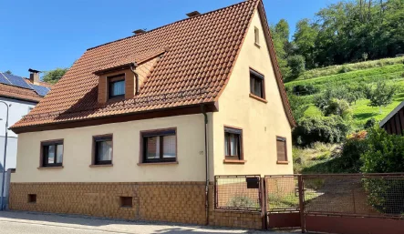 Bild1 - Haus kaufen in Laudenbach - Im Dornröschenschlaf