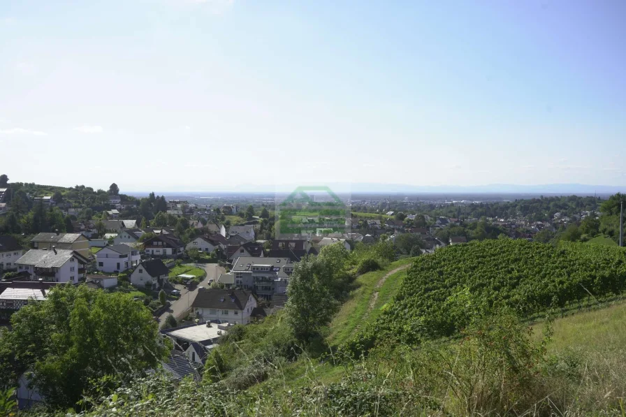 Ausblick - Haus kaufen in Offenburg - Gemütliches Einfamilienhaus in Offenburg, Zell-Weierbach