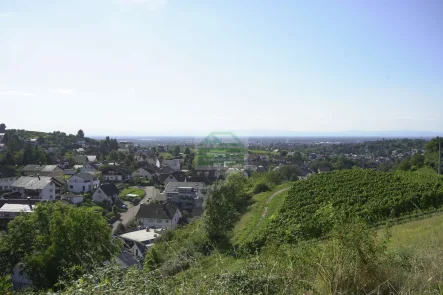 Ausblick - Haus kaufen in Offenburg - Gemütliches Einfamilienhaus in Offenburg, Zell-Weierbach