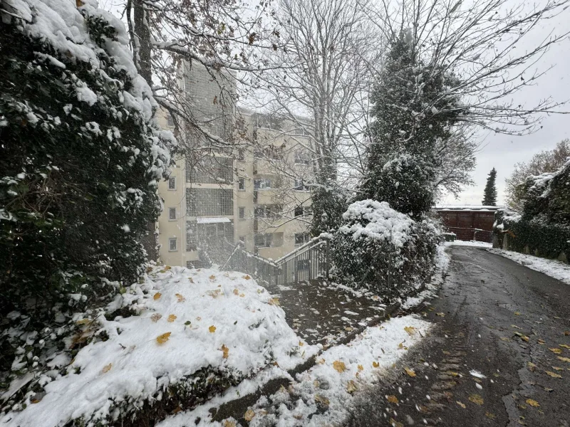 Oberer_Zugang_vom_Schlierberg - Wohnung kaufen in Freiburg im Breisgau - Zentrumsnahe Einzimmerwohnung in Freiburg-Wiehre, Aufzug, Bad mit Wanne, Balkon, derzeit vermietet