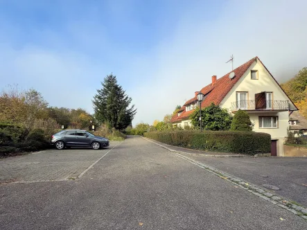 Ensemble_mit_Parkplätzen - Haus kaufen in Badenweiler - Badenweiler-Schweighof, ehemaliges Pensionsgebäude (2 Häuser/Haushälften) mit 280 qm Wohnfläche, vielfältige Nutzungsmöglichkeiten