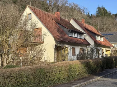 Ansicht - Haus kaufen in Badenweiler - Badenweiler-Schweighof, ehemaliges Pensionsgebäude (2 Häuser/Haushälften) mit 280 qm Wohnfläche, vielfältige Nutzungsmöglichkeiten