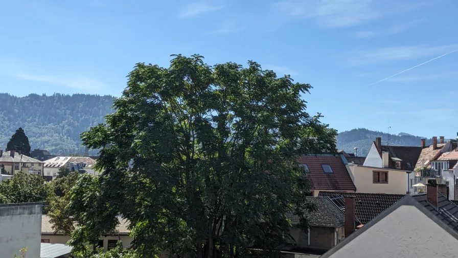 Ausblick vom Balkon 