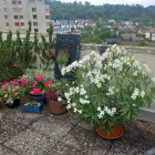 Sommerimpressionen Dachterrasse