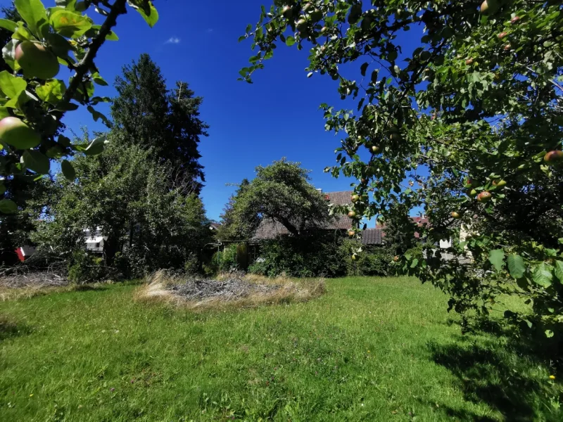 Großer Gartenbereich - Haus kaufen in Bad Herrenalb - Für Naturliebhaber - 1-FMH in herrlicher Höhenlage mit großem Garten