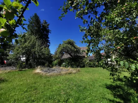 Großer Gartenbereich - Haus kaufen in Bad Herrenalb - Für Naturliebhaber - 1-FMH in herrlicher Höhenlage mit großem Garten