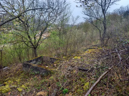 Ehemalige Hütte mit Bestandssc - Grundstück kaufen in Niefern-Öschelbronn - Grundstück in Niefern