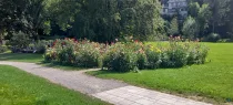 Kurpark