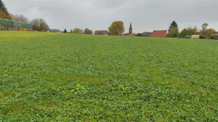 Flurstücks-Nr. 3831-2146m² Hoh - Grundstück kaufen in Ölbronn-Dürrn - 6 verschiedene Landwirtschaftsflächen zu verkaufen