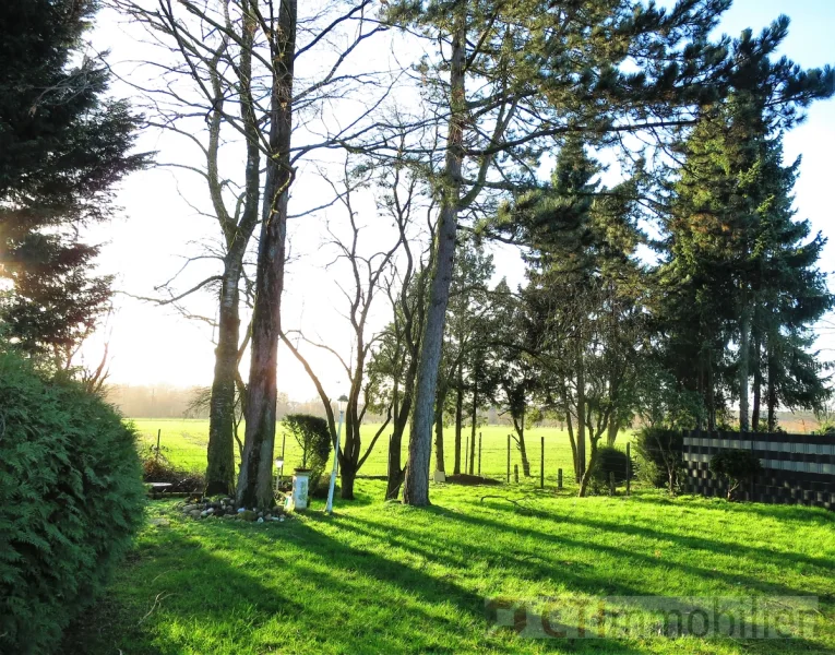 Blick in den Garten über das angrenzende Feld - Haus kaufen in Rhade - Wohnen am Feld im Bungalow