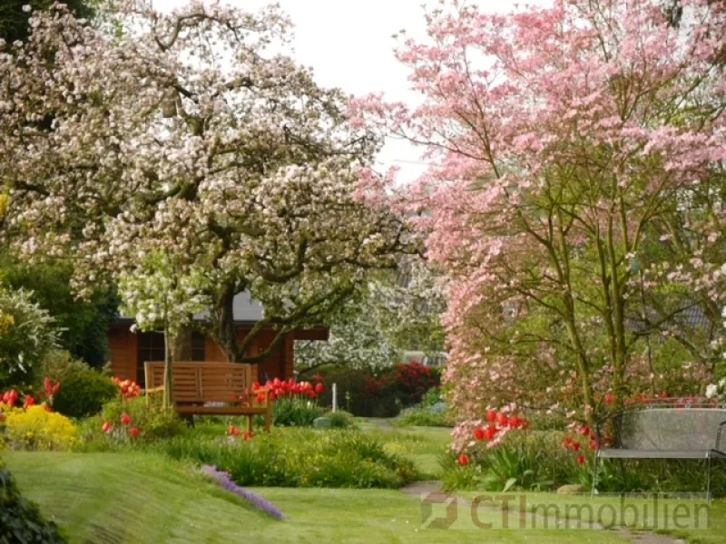 der Garten im Frühling 2