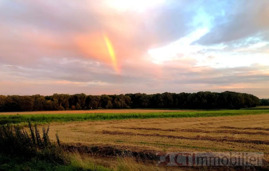 abendliche Stimmung