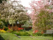 der Garten im Frühling 2