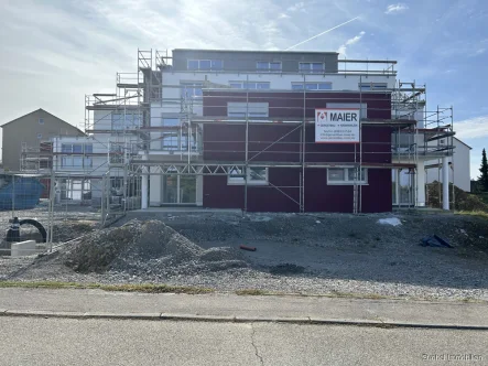 Ansicht - Wohnung kaufen in Schrozberg - Modernes Wohnen im Mehrfamilienhaus Gladiole 1 - willkommen zu Hause