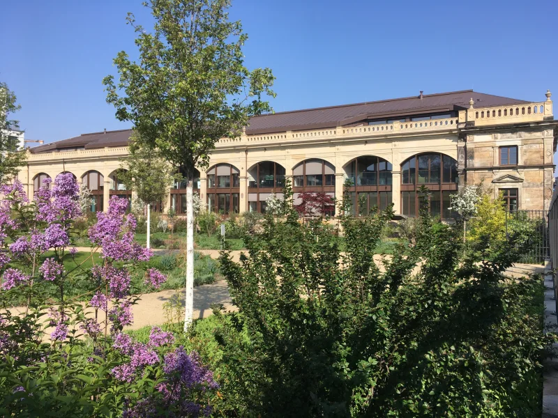 Ansicht von Süden - Wohnung kaufen in Dresden - AREAS: Traumwohnung in der Dresdner Orangerie - bezugsfrei