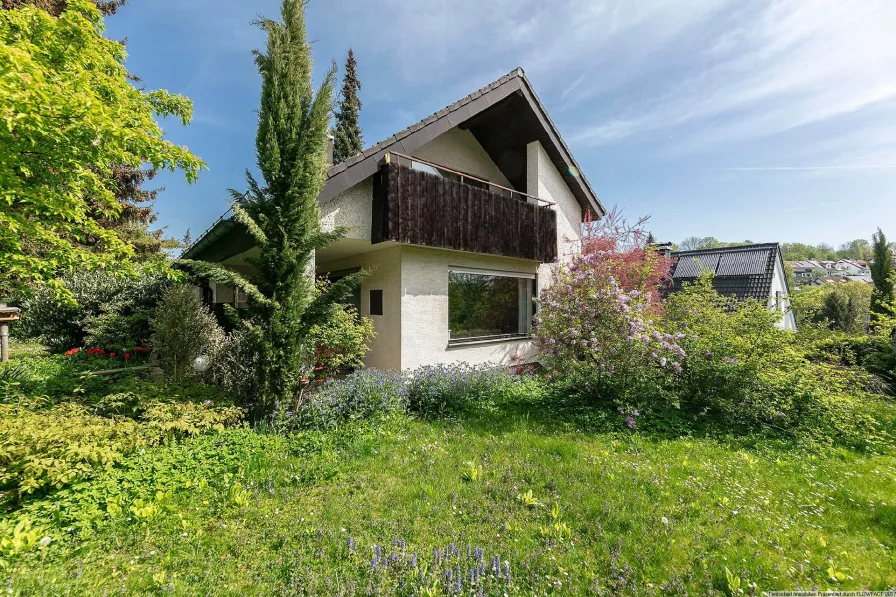 Außenansicht - Haus kaufen in Elchingen-Thalfingen - Einfamilienhaus mit schönem eingewachsenen Garten