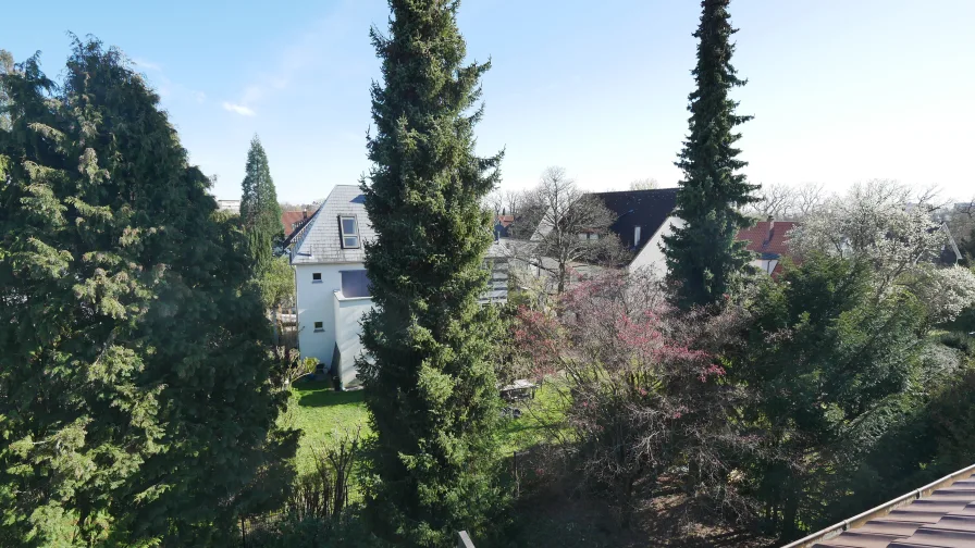  Aussicht vom Abrissgebäude  (Gartenseite)