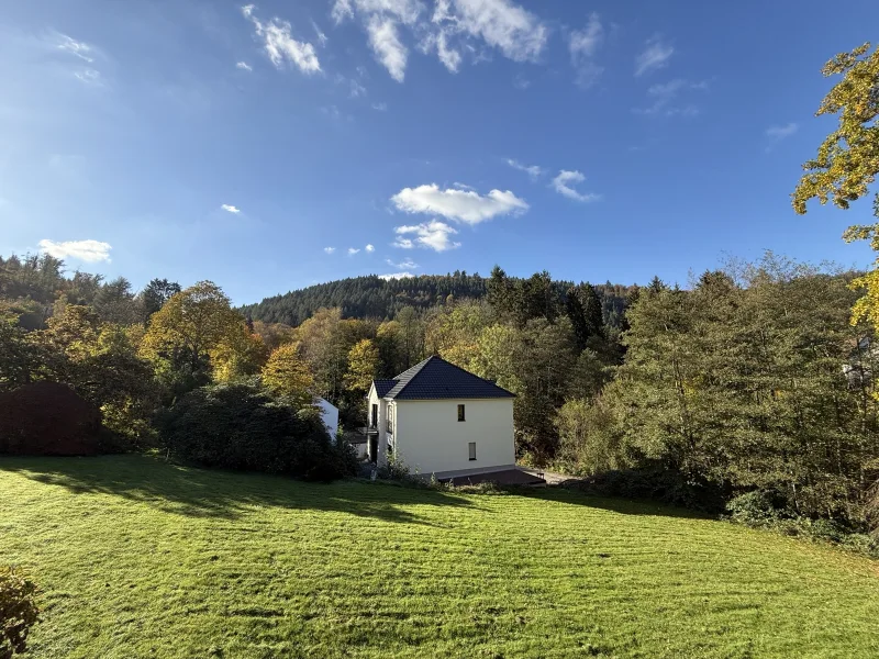 Aussicht vom Balkon