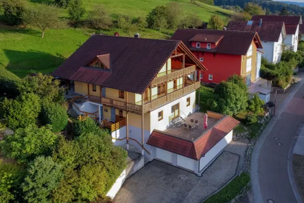 Ansicht Nordwestseite - Haus kaufen in Seelbach - Großzügiges Einfamilienhaus mit ELW/FeWo in traumhafter Lage - für den Käufer provisionsfrei!