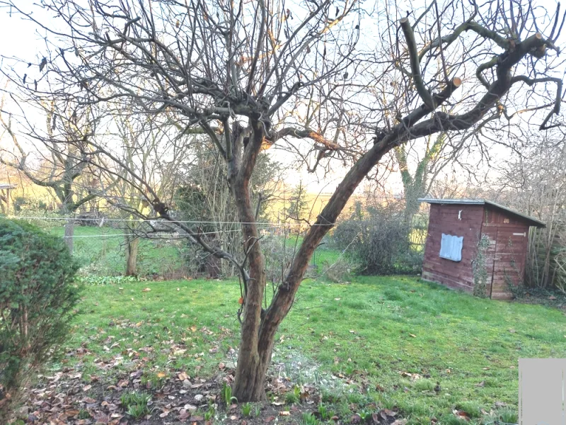  - Wohnung mieten in Heddesheim - Erstbezug nach Sanierung:  Wohnung mit Gartenanteil in Feldrandlage