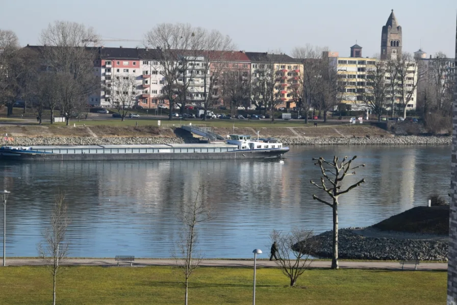 Blick auf den Rhein - Wohnung mieten in Ludwigshafen / Süd - Luxuriöse Wohnung mit Wellness im Haus an der Rheinpromenade