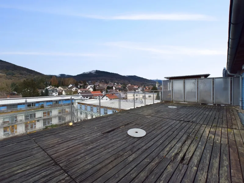 Terrasse - Wohnung kaufen in Heidelberg / Handschuhsheim - Seltene Gelegenheit! Penthaus-Maisonette mit großer Terrasse und Toplage