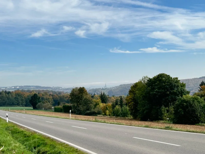 Aussicht Münster