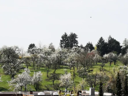 Aussicht - Wohnung kaufen in Pforzheim - Pforzheim-Arlinger * Exklusives Penthouse in begehrter Wohnlage * Traumhafte Aussicht *