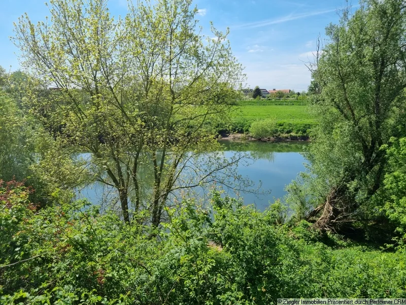 01 Ausblick - Haus kaufen in Ilvesheim - Schmuckes TOP 2-3-FH mit schönem Garten u. Neckarblick  in Ilvesheim - 30003848