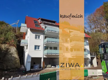 Hausansicht - Wohnung kaufen in Todtnau - AUSSICHT, NEU und FERTIG! 3,5 Zimmer-Wohnung, Garage, Stellpl