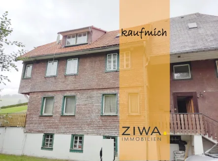 Hausansicht mit Eingang - Wohnung kaufen in Todtnauberg - Maisonette-Wohnung im Schwarzwaldhaus