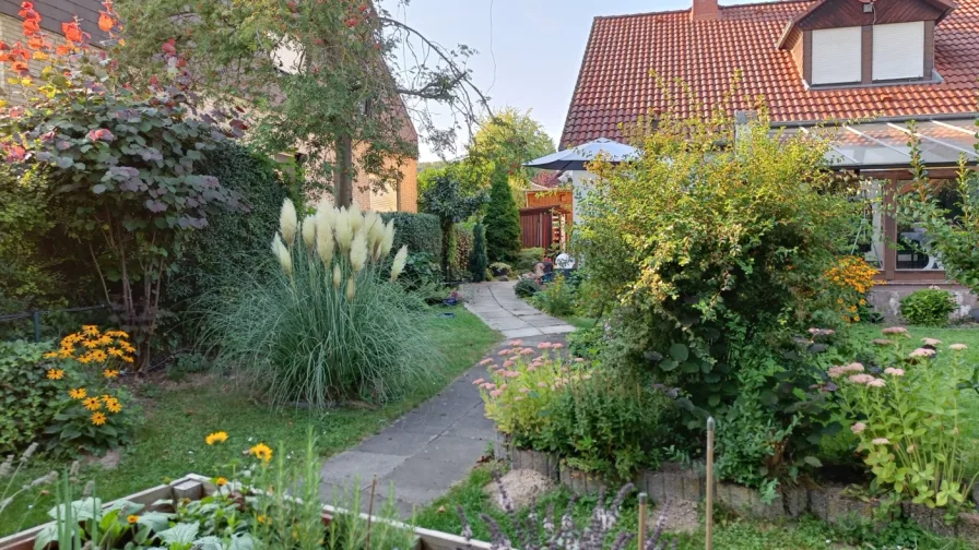 Garten im Sommer