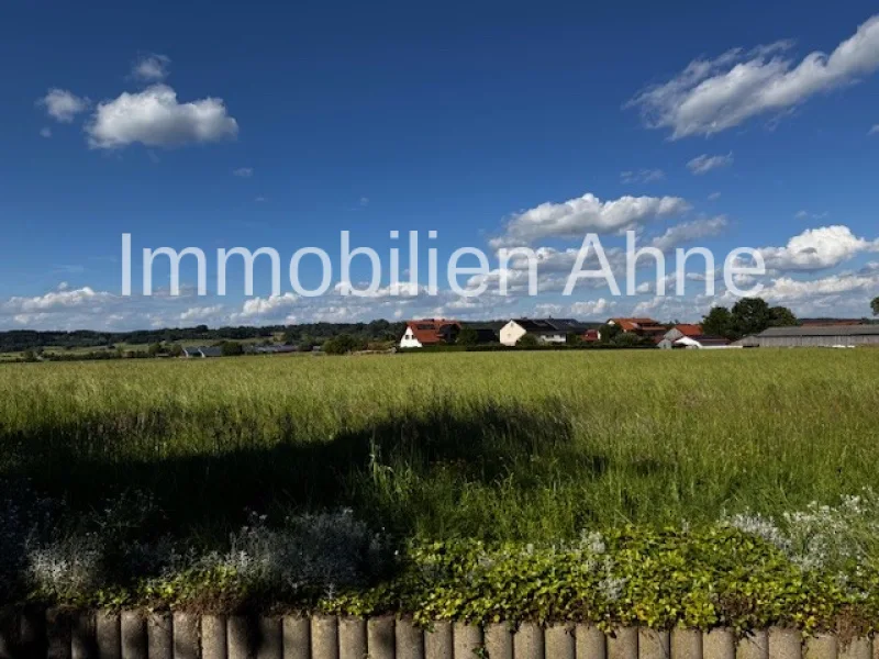 Blick gen Osten - Haus kaufen in Tussenhausen - Interessante Wohn-Gewerbeeinheit mit zwei Garagen in Mattsies!