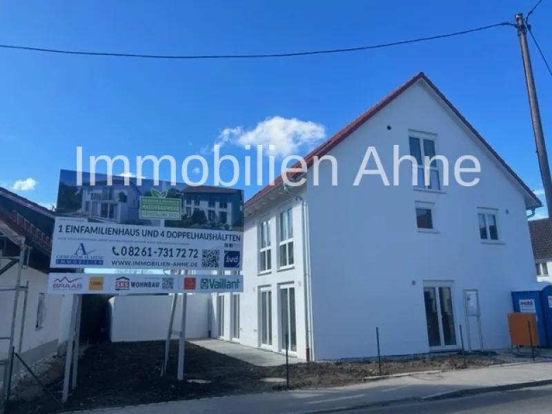 Gesamtanlage - Haus kaufen in Salgen / Hausen - Erstbezug: modernes Wohnen auf dem Lande - Neubau-DHH in Hausen A96!