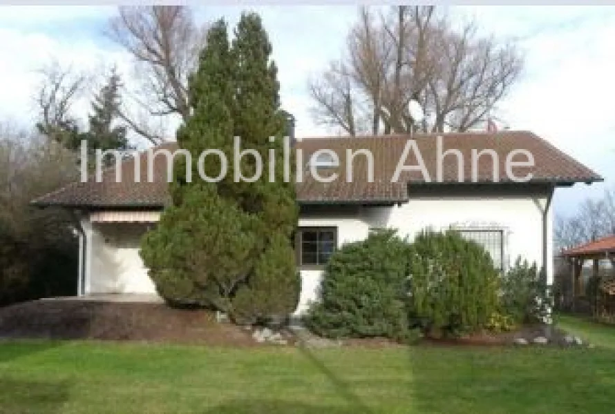 Südansicht - Haus kaufen in Pfaffenhausen - Einfamilienhaus mit großem Garten und Ausbaupotenzial - Pfaffenhausen!