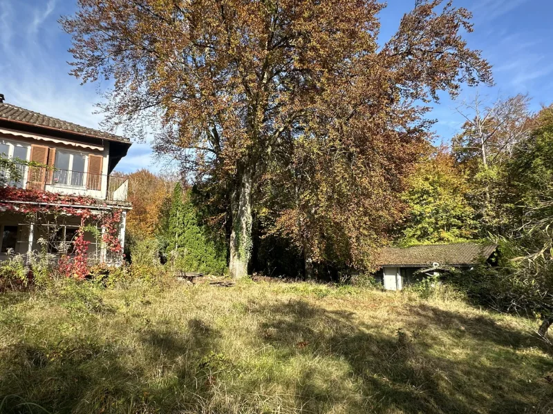 Grundstück - Grundstück kaufen in Pöcking - AIGNER - Pöcking: Großzügiges Grundstück in Waldrandlage