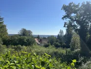 Gartengeschoß-Blick