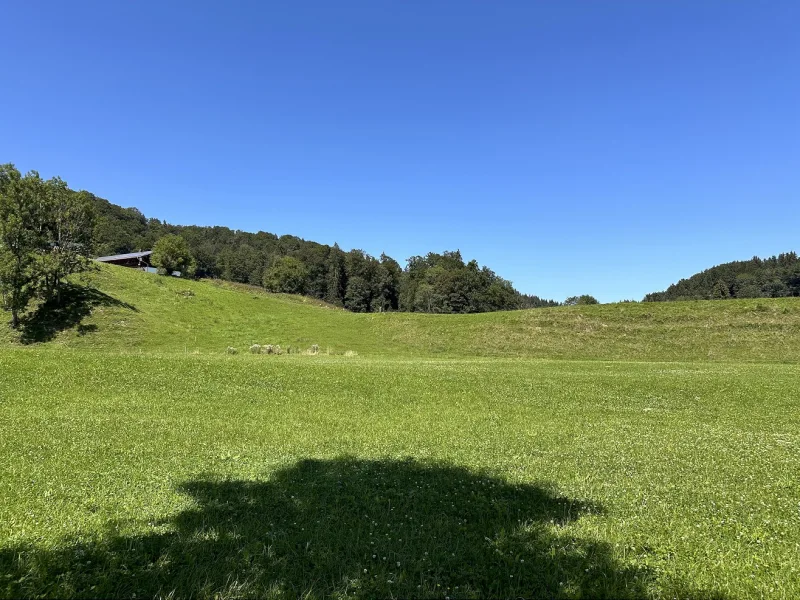 Ausblick von nördlichen Grundstücksbereich ins Grüne